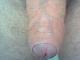 zsolt699