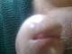 Heverek