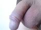 lacusz