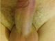 spoon81