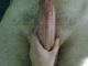 milffriend