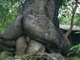 A sex a természet rendje