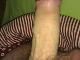 dicky dicky
