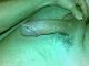 eduard eduard