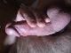 mano827 mano827