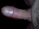 bisex2 bisex2