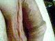 pici0 pici0