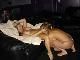 swingerwife swingerwife