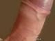 bisex2 bisex2