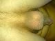 djnspl djnspl