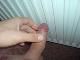 pocs_odon pocs_odon