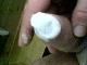 milkman milkman
