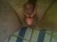 peti80 peti80