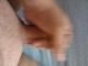 peti80 peti80