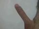 balint29 balint29