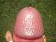 peest peest