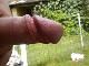 peest peest