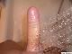 royal21 royal21