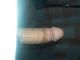 Tsaby5 Tsaby5