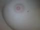 eke eke