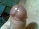 sandra95 albumja