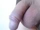 lacusz lacusz