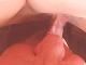 Andrea65 Andrea65