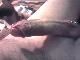 gabi185 gabi185