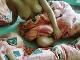pcsilla33 pcsilla33