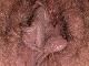 Andrea65 Andrea65
