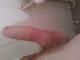 srac21cm srac21cm
