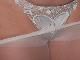 Andrea65 Andrea65