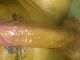 ricso28 ricso28