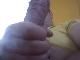 alcess alcess