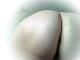 bumbum bumbum
