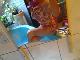galopp21 galopp21