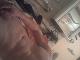 galopp21 galopp21