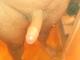 alcess alcess