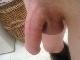 Sanyi199507 Sanyi199507
