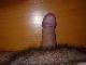 stivi
