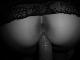 chatnoir chatnoir