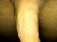Chris1144 Chris1144