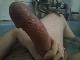 lll333ccc lll333ccc