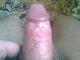 ferrum6