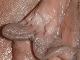 Andrea65 Andrea65