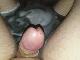 bandita43 bandita43