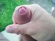 G.Gabor86 G.Gabor86