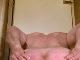 Attisnyalis Attisnyalis