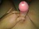 farok49 farok49