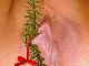 Andrea65 Andrea65